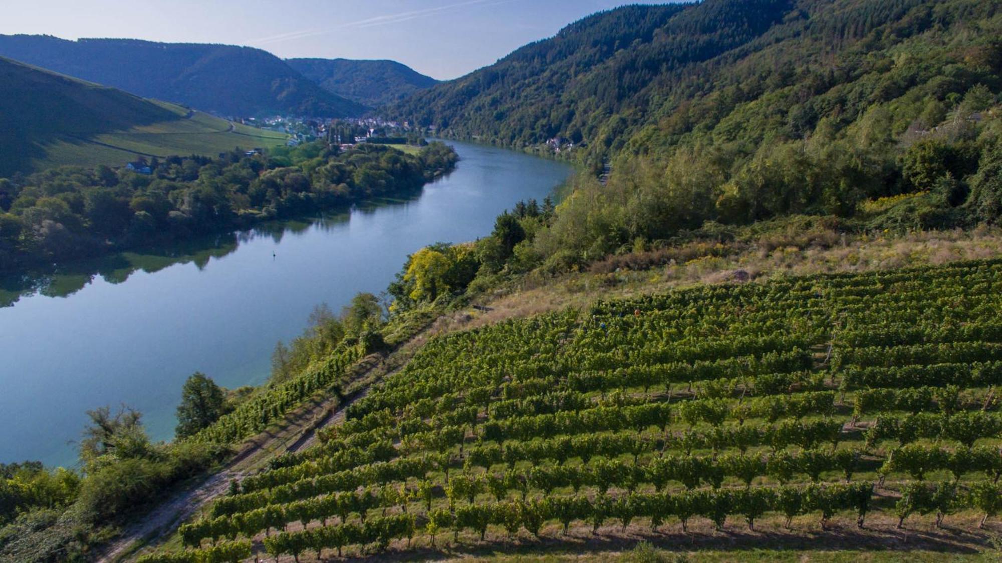 Ferienhaus Moselhoehe -Neu- Traben-Trarbach Dış mekan fotoğraf