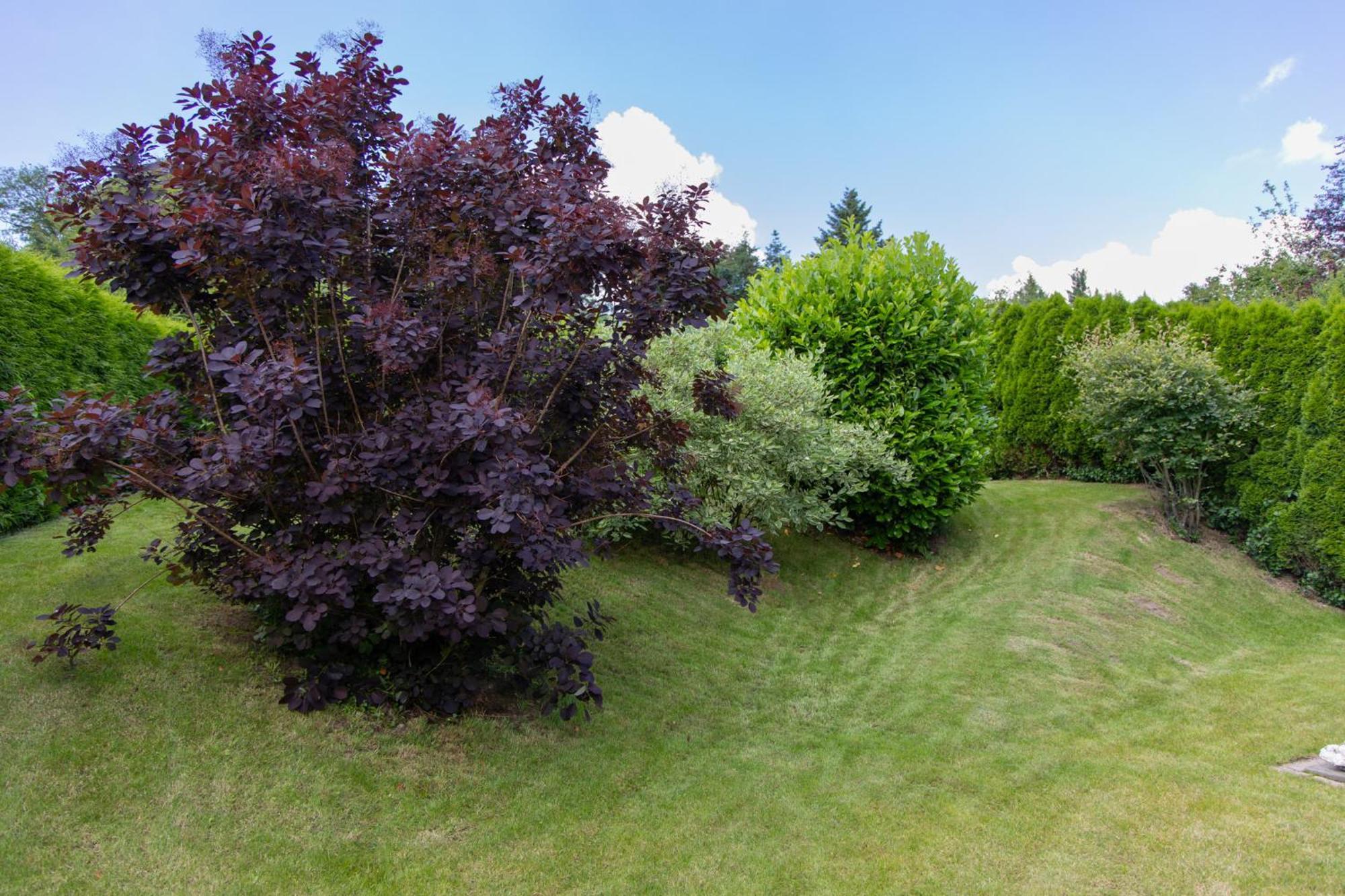 Ferienhaus Moselhoehe -Neu- Traben-Trarbach Dış mekan fotoğraf