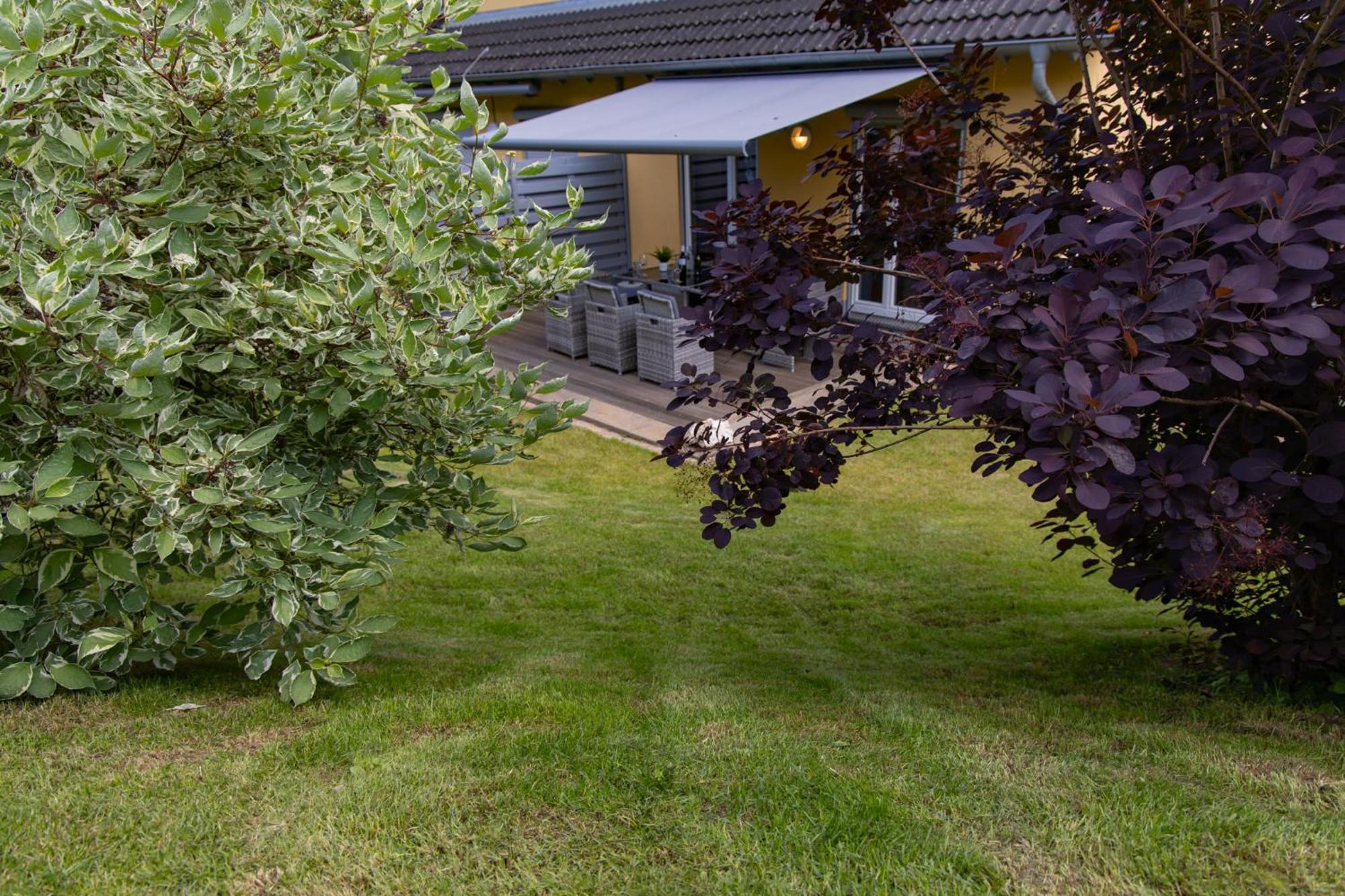 Ferienhaus Moselhoehe -Neu- Traben-Trarbach Dış mekan fotoğraf